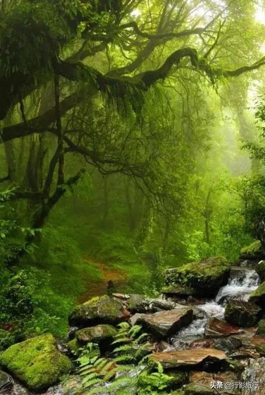 云南西双版纳地方介绍,云南西双版纳旅游简介