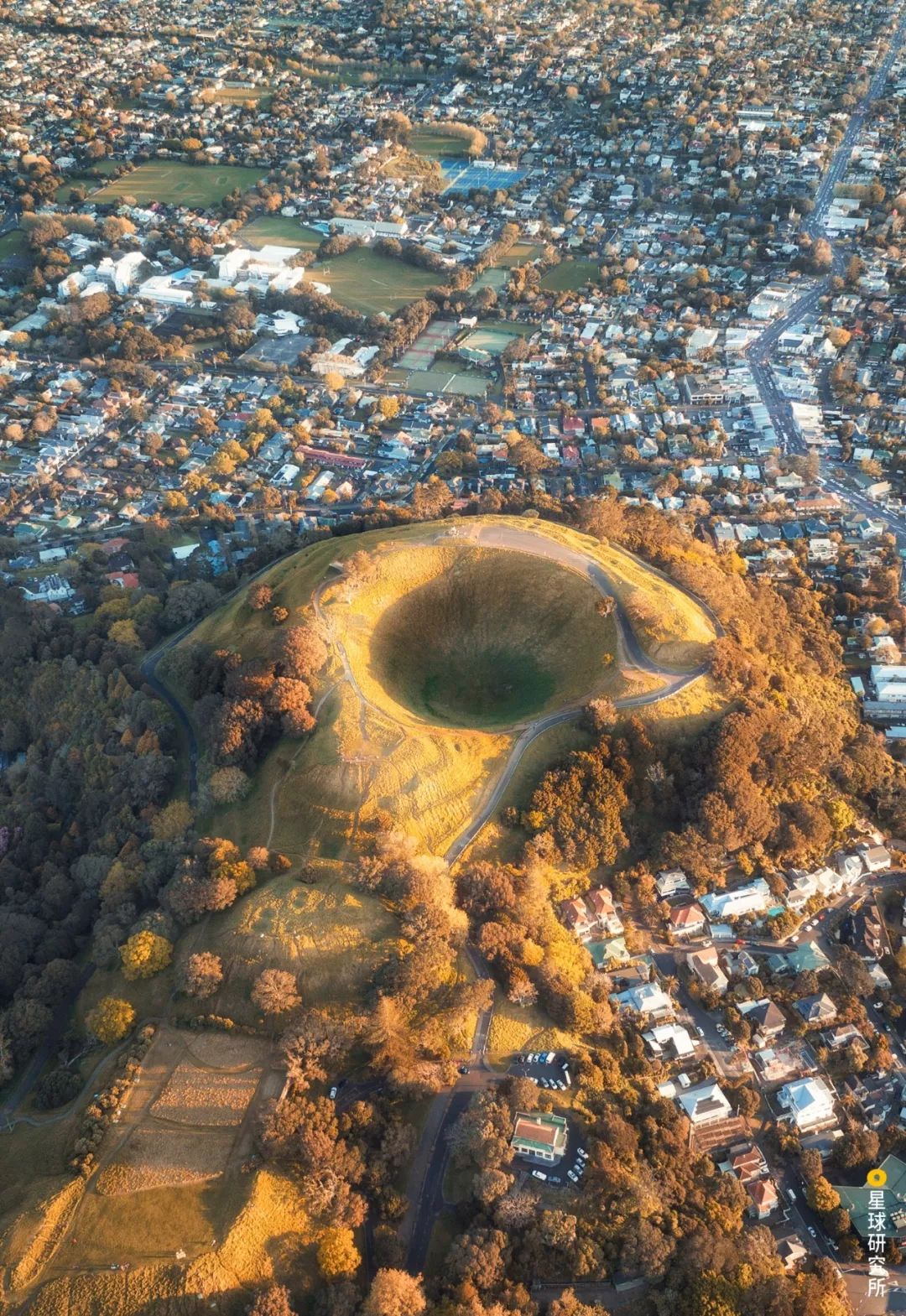 新西兰为什么那么发达,新西兰为什么这么牛