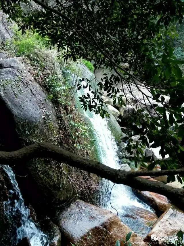 温州茶山卧龙潭,温州卧龙峡风景区