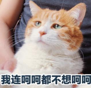 李佳琦再掉好感!老烟民形象曝光后，直播间里跟杨幂开黄腔