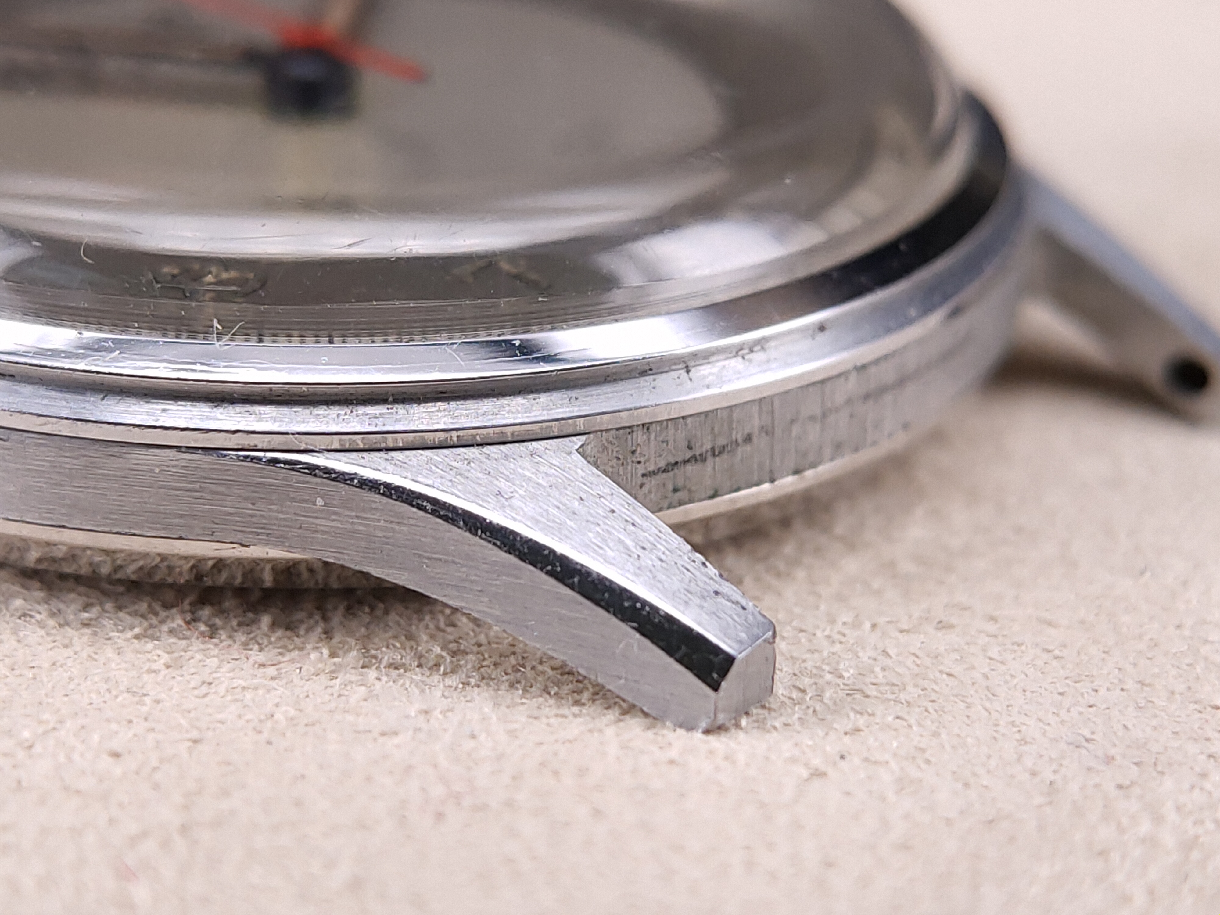 因为一条鱼爱上一个人,因一条鱼丢了一条命