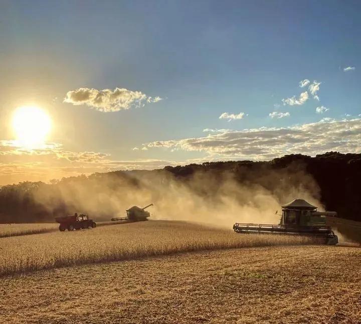 用钱去做农业会怎样,去农村搞种植业投资怎样做最好