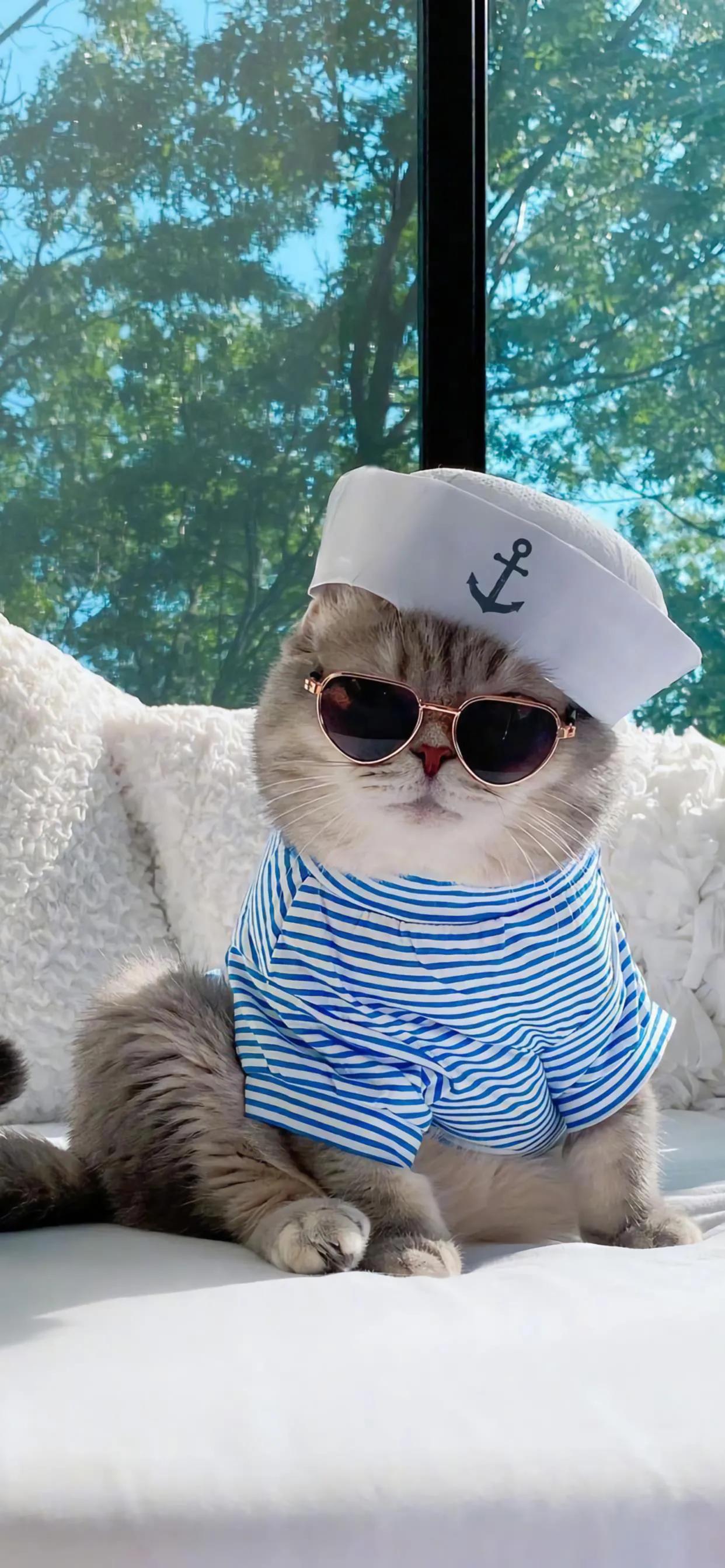 壁纸分享经典手机壁纸,手机壁纸好看的壁纸分享