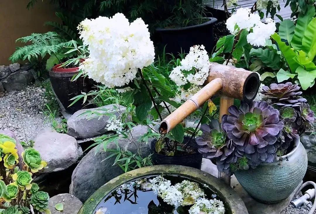 成都自驾三日游最佳攻略,成都游玩攻略三晚4天