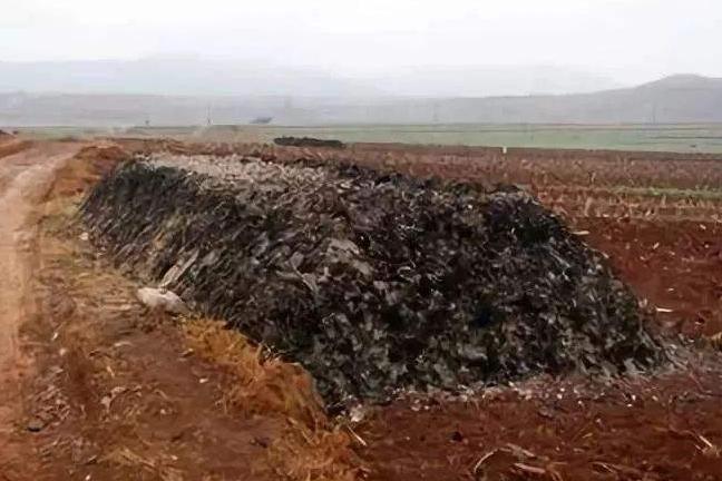 粪肥发酵的正确方法,发酵粪肥的最佳方法