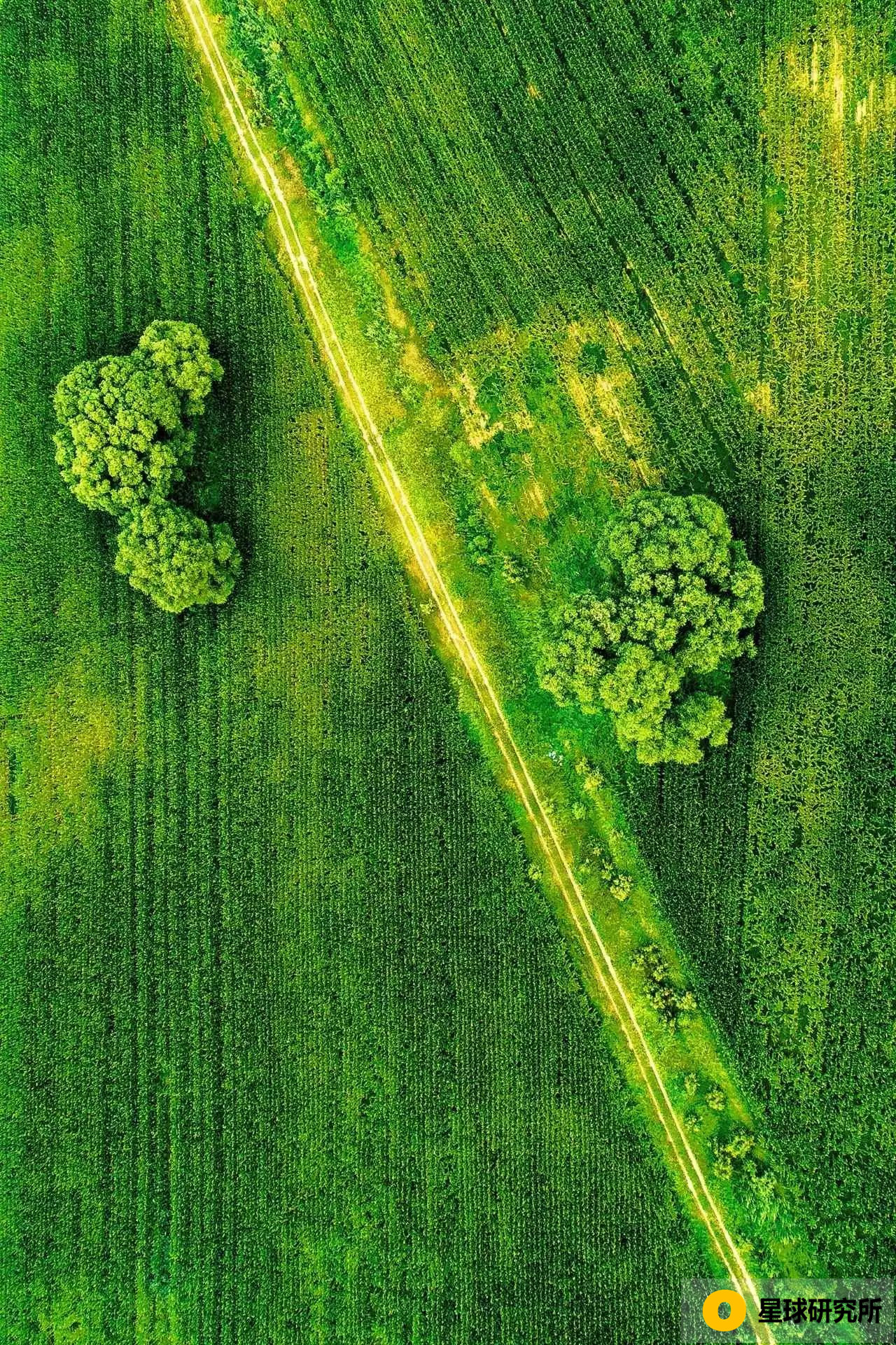 山河图全景图高清大图,中国壮美山河全景图