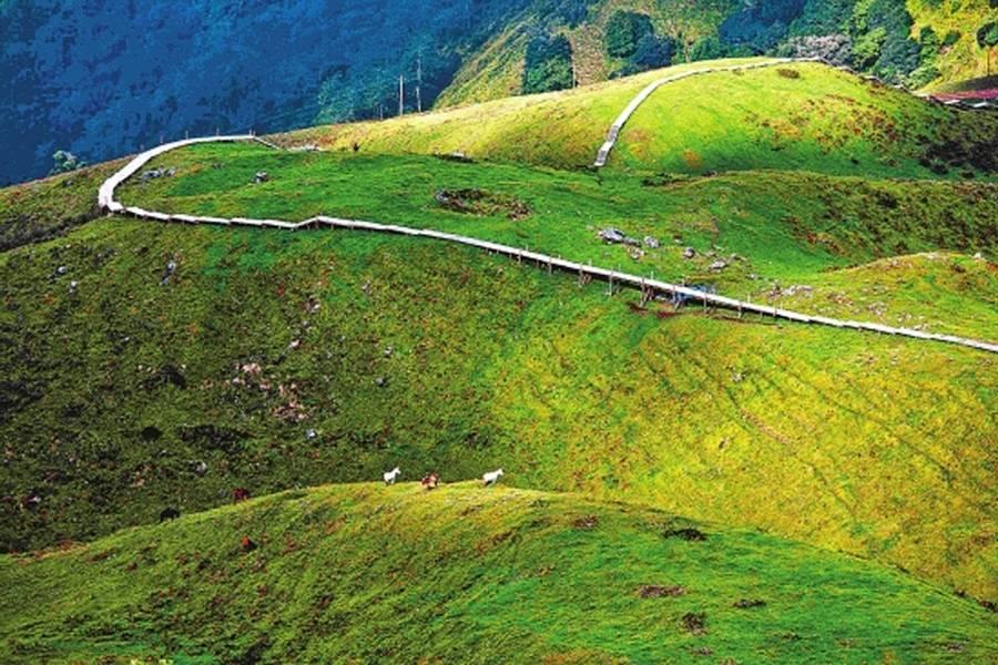 在竹溪河发现宫崎骏里的花海,宫崎骏的天空黑河