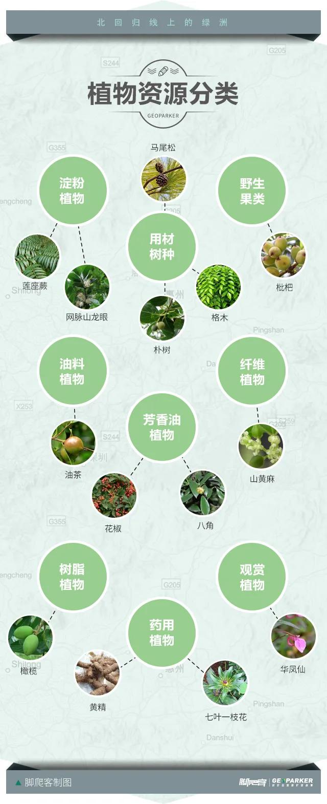 封开县黑石顶原始森林保护区,广东封开黑石顶北回归线上的绿洲