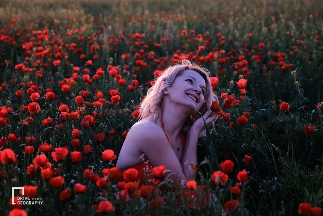 开中国车穿越欧洲,自驾游中亚中国车如何进入