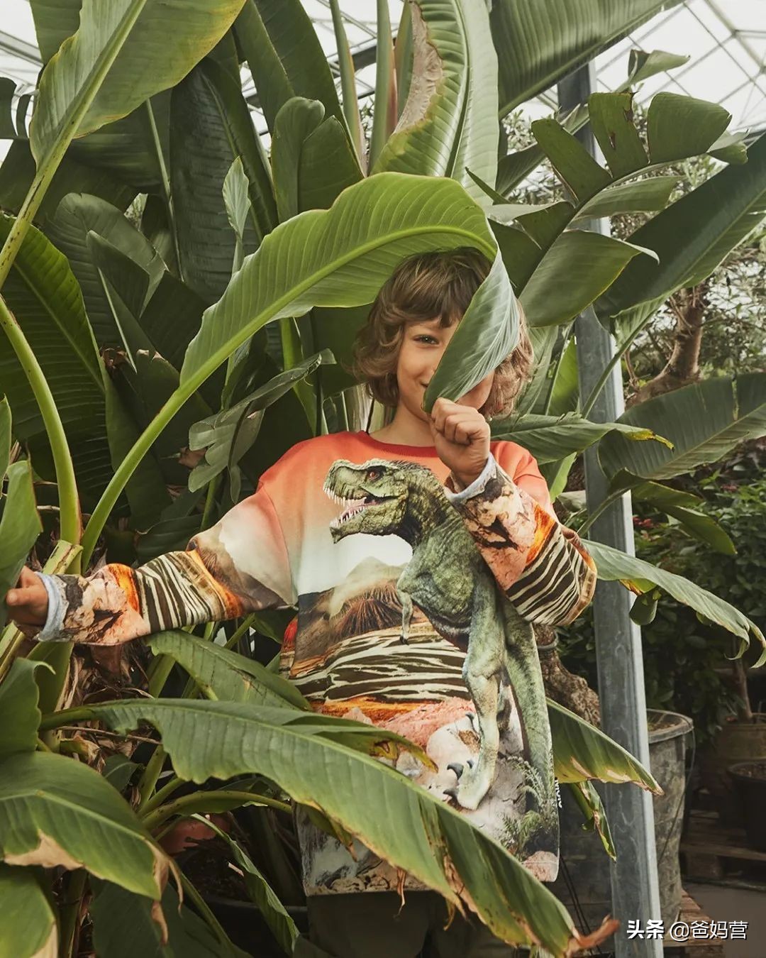 安吉丽娜朱莉有多爱她母亲,安吉丽娜朱莉爱小孩