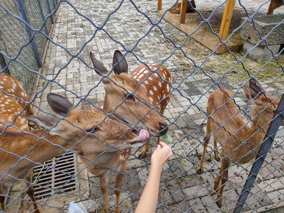 沈阳周边有山有水的免费景点,沈阳工业展览馆2021车展免费门票