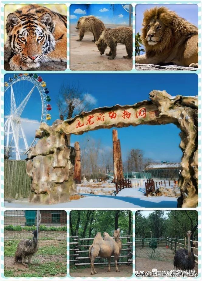 千年古城的勃勃生机,青州古城与青州古街