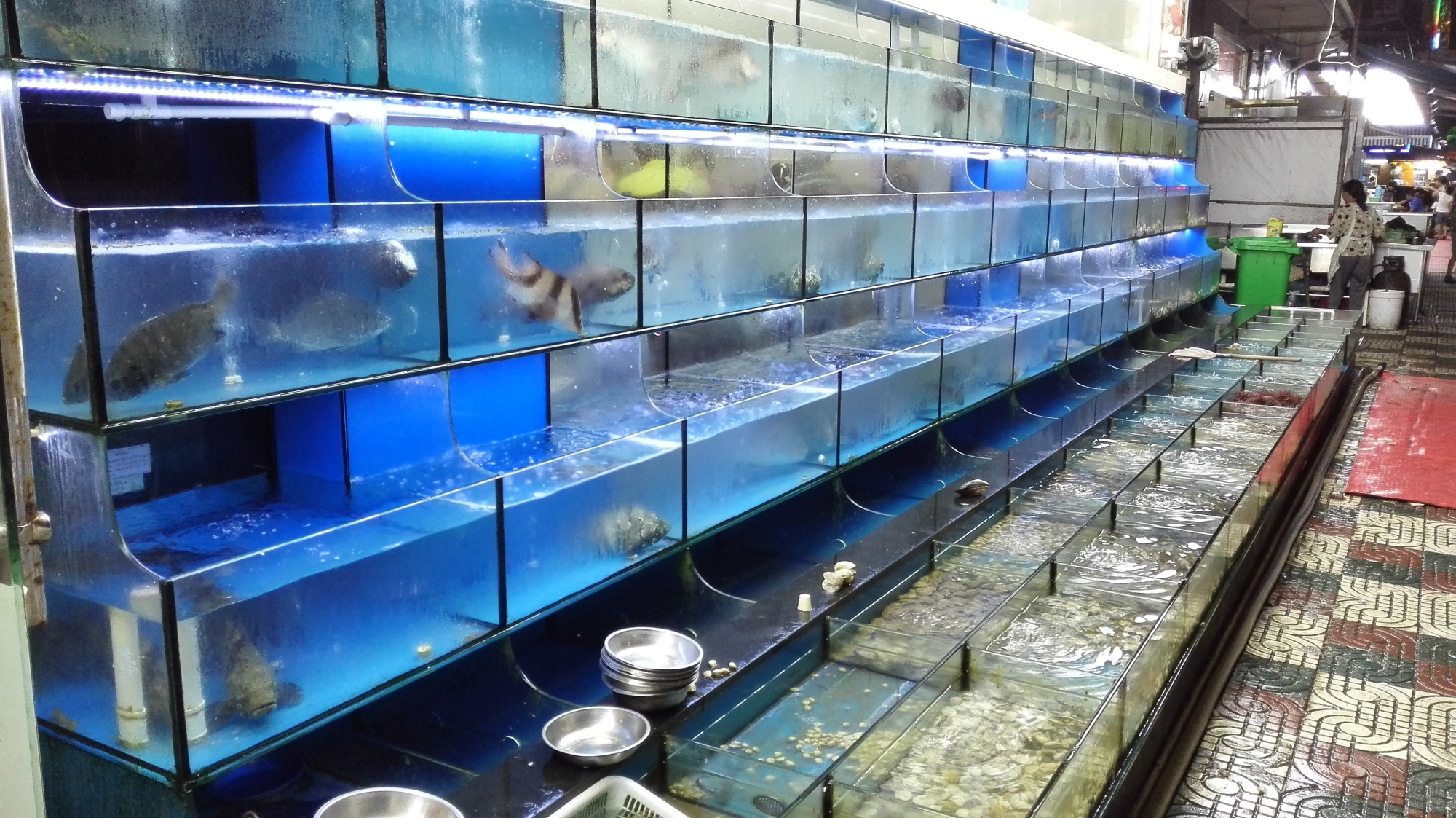 舟山群岛第5大岛沙雕故乡朱家尖，10里金沙美如画，大青山来自驾