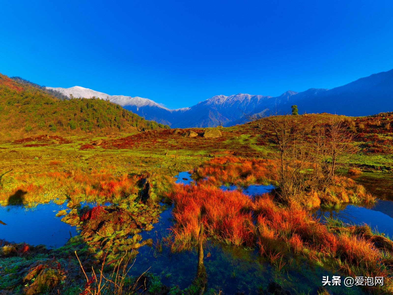 四川黑竹沟峡谷,中国最神秘的山谷