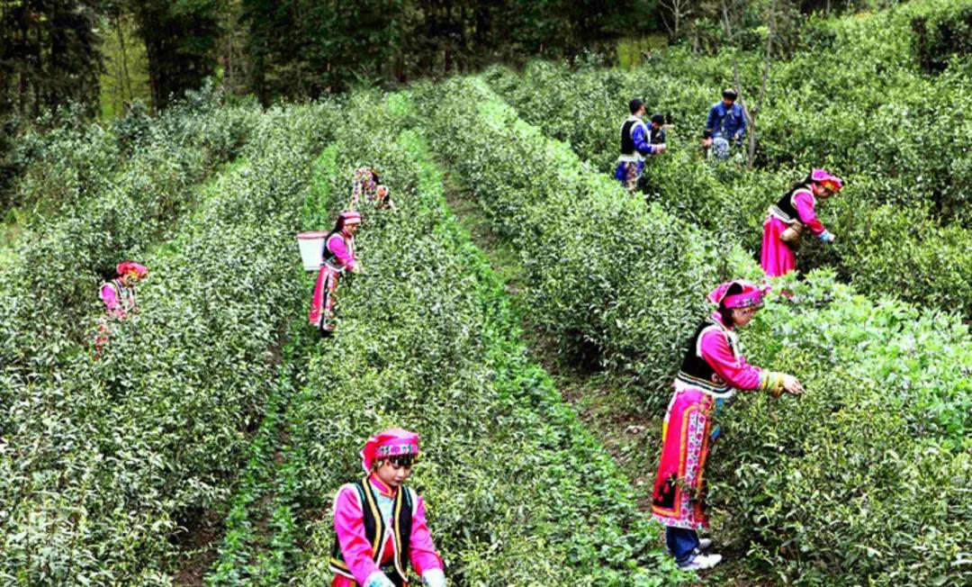 平武县秘境,平武旅游最佳打卡地