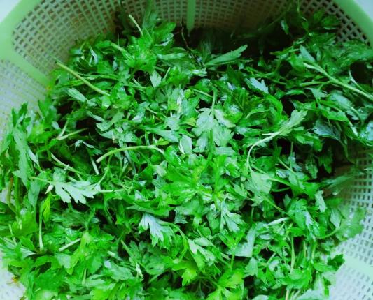 有一定的药用价值,不为人知的它药用价值很高