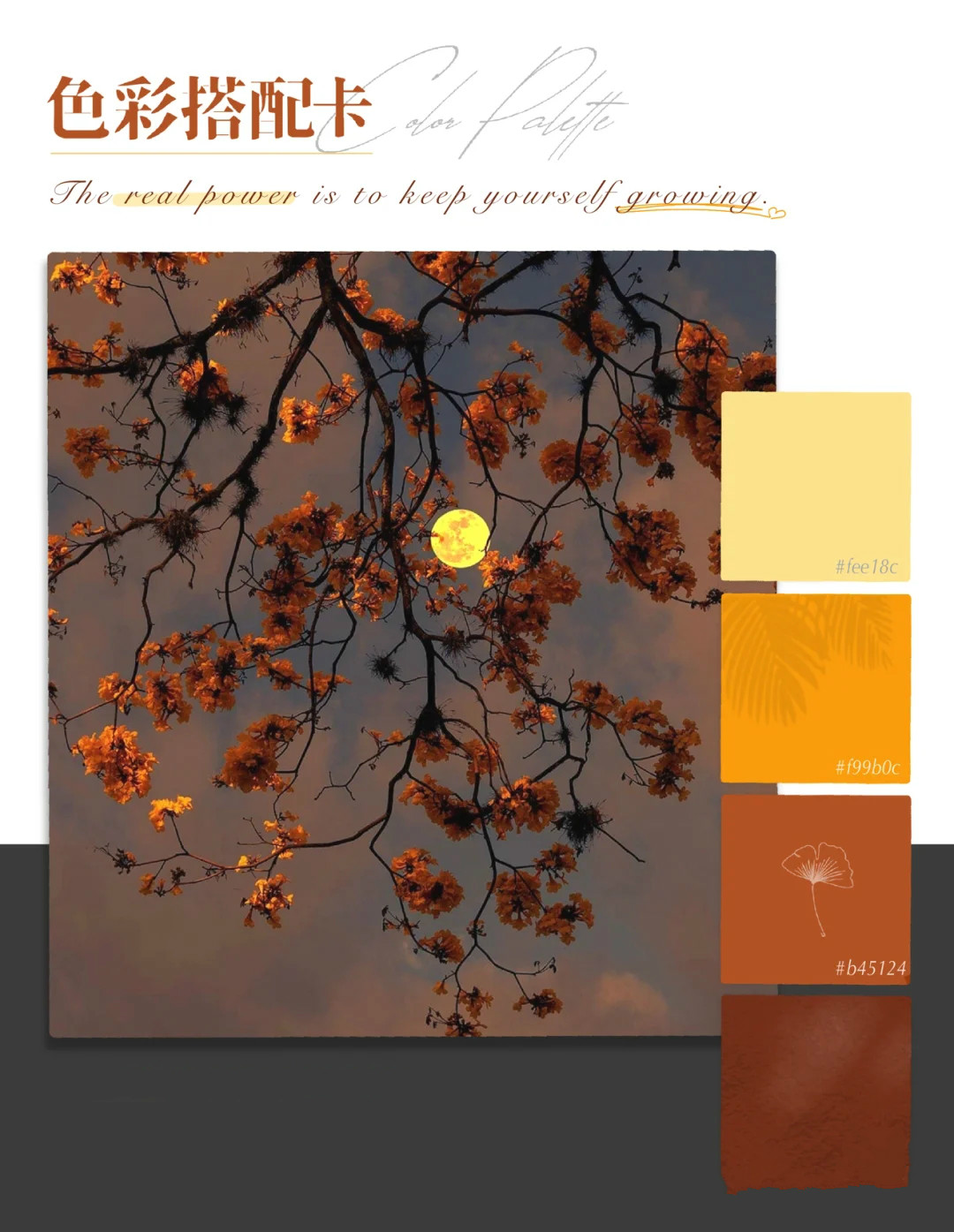 三木大地色搭配,三木穿什么颜色好看