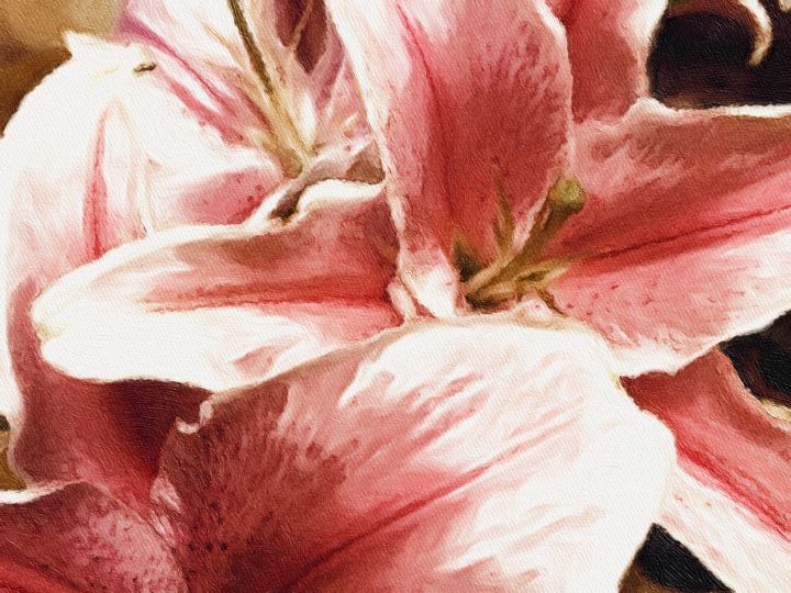 濂界敤鐨勬墜鏈轰慨鍥綼pp,濂界敤鐨勬墜鏈轰慨鍥綼pplightroom