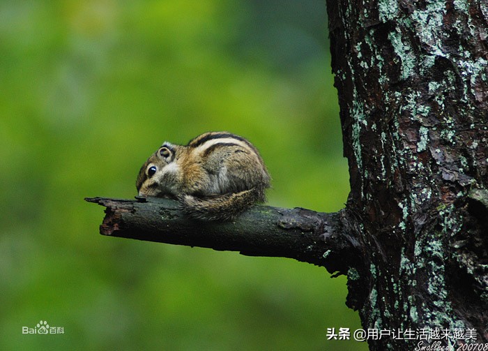 鏂扮枂鏄釜濂藉湴鏂规垜浠庢柊鐤嗘潵鏂囨,鐤嗘柊
