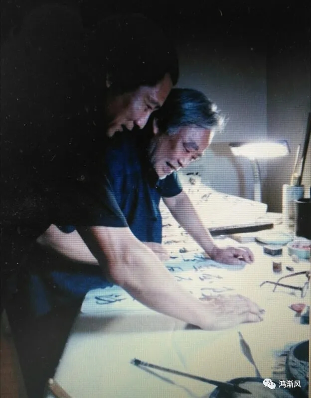 郭良小说,郭良电视剧全集