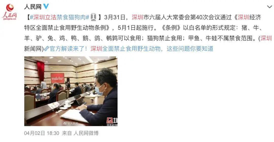 总统喊你来看片，这波硬核安利我吃了