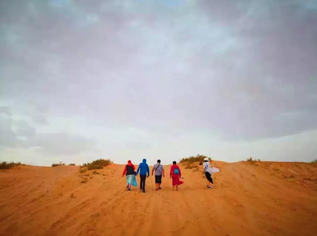 突尼斯是不是地中海,突尼斯一半沙漠