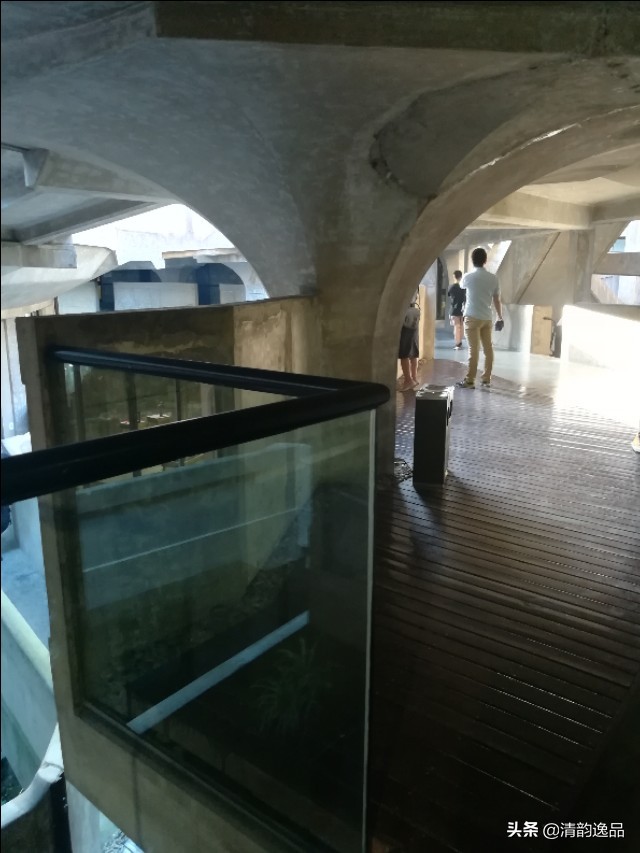 亲历诡异故事完整版,真实恐怖故事亲历者回忆