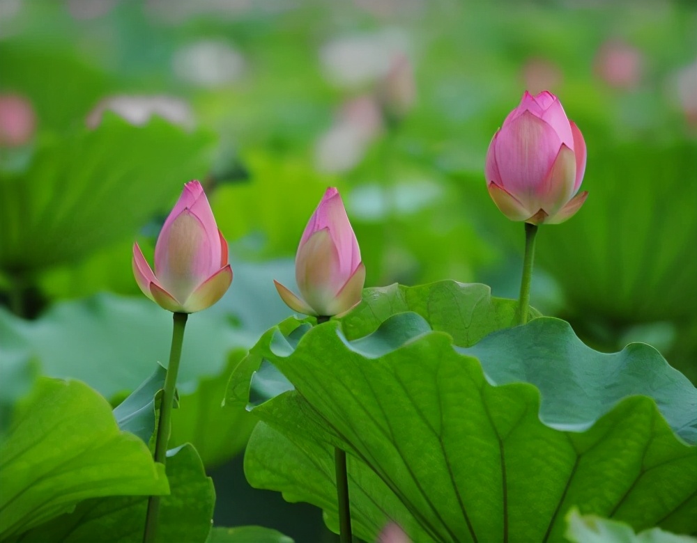 妻子最不能容忍丈夫这6个缺点,夫妻间过日子必须记住八条