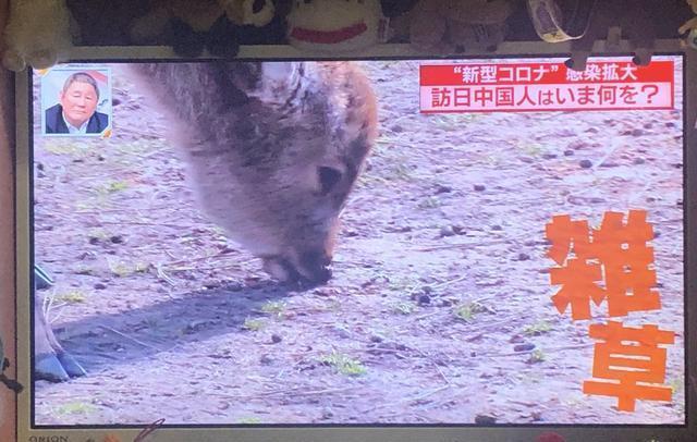 世界各地如果没有中国游客，该有多无聊