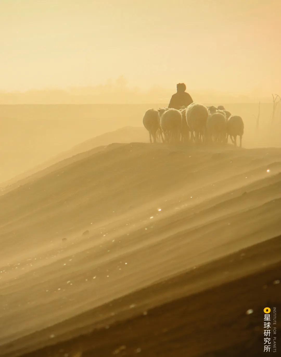 中国植树造林面积,中国植树造林成果国外有什么看法