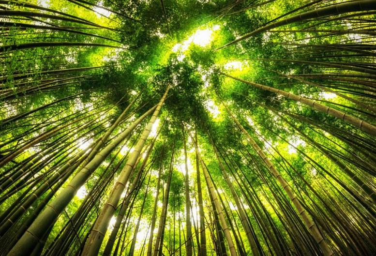 2019年全国足球特色幼儿园,陕西省十佳幼儿园