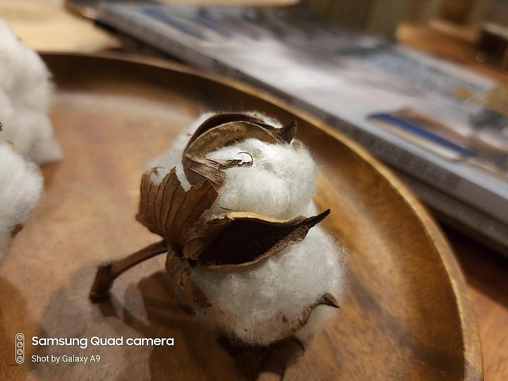 三星galaxya9s拍照,三星galaxya9开箱评测