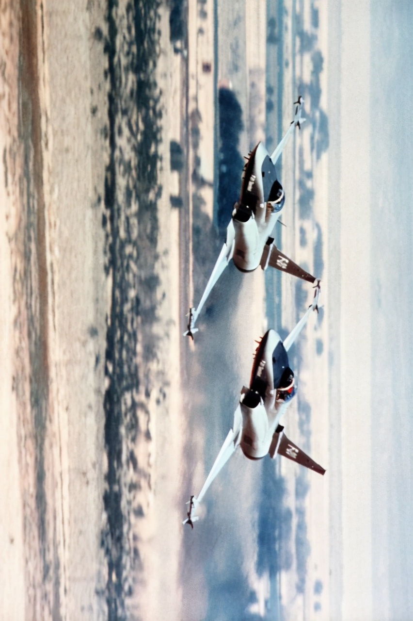 虎鲨悲剧,极富悲剧色彩的虎鲸