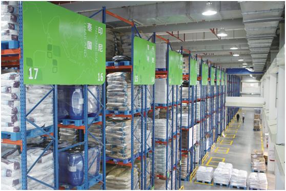 姚明为什么要代言汤臣,姚明在汤臣倍健