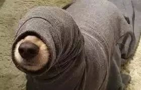 割包皮有第二根半价吗,割包皮有几率失误吗