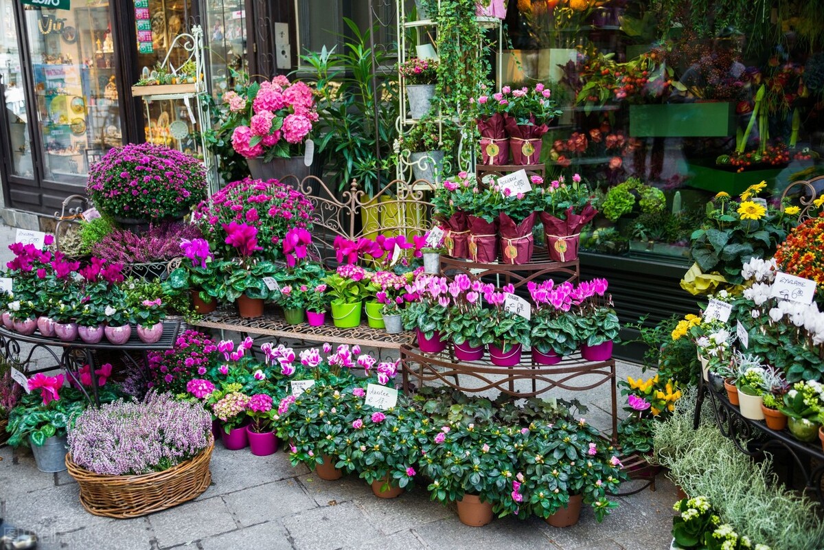 如何让花店倍增,花店怎么提升下单转化率20%