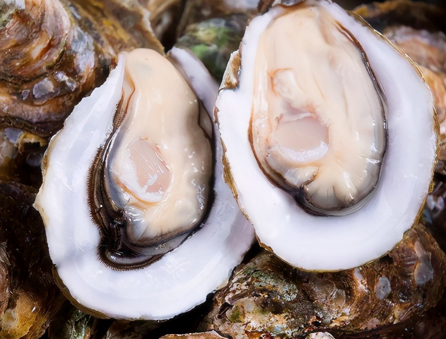 春天什么海鲜最肥美,春季有哪些海鲜是当季可以吃的