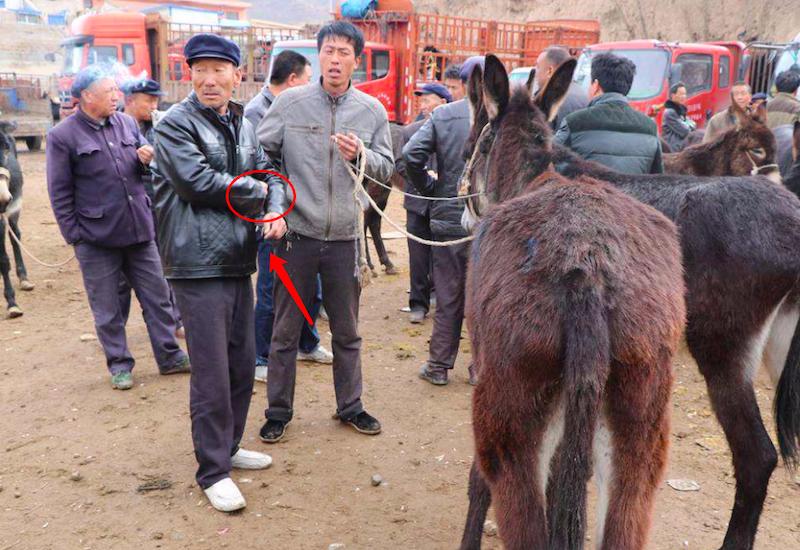 农村俗语,“车船店脚牙,无罪也该杀”,是一颗老鼠屎坏了一锅粥