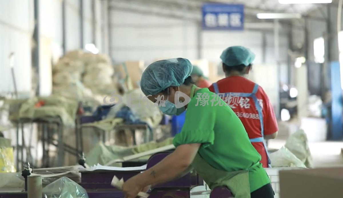 南阳艾草电商产业园,河南南阳艾草产业园