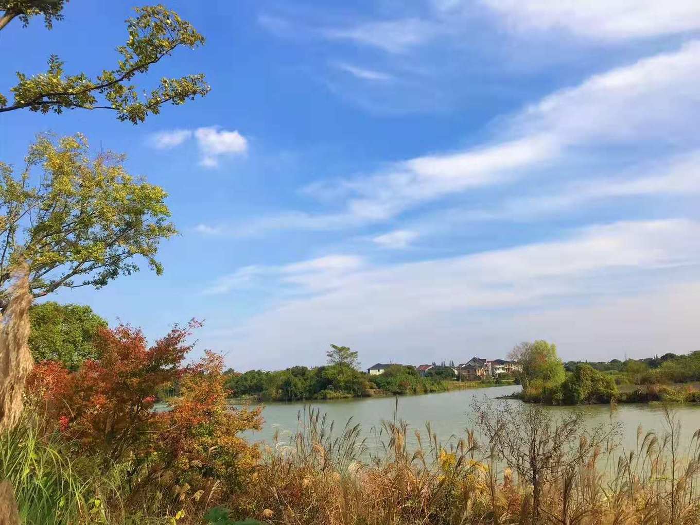 一座白楼，青山环绕，云卷雾舒～享受在莫干山野的娴静自由