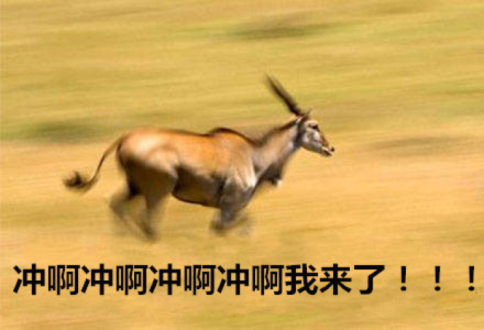 男子吃月饼吃出钻戒大概多少克拉,五仁月饼吃出钻戒