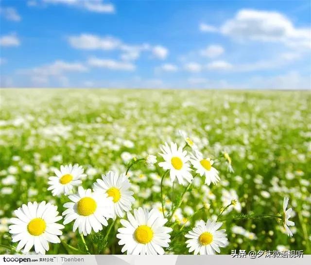 入冬的第一场大雨如约而至,一秒入冬让人措手不及还没买外套