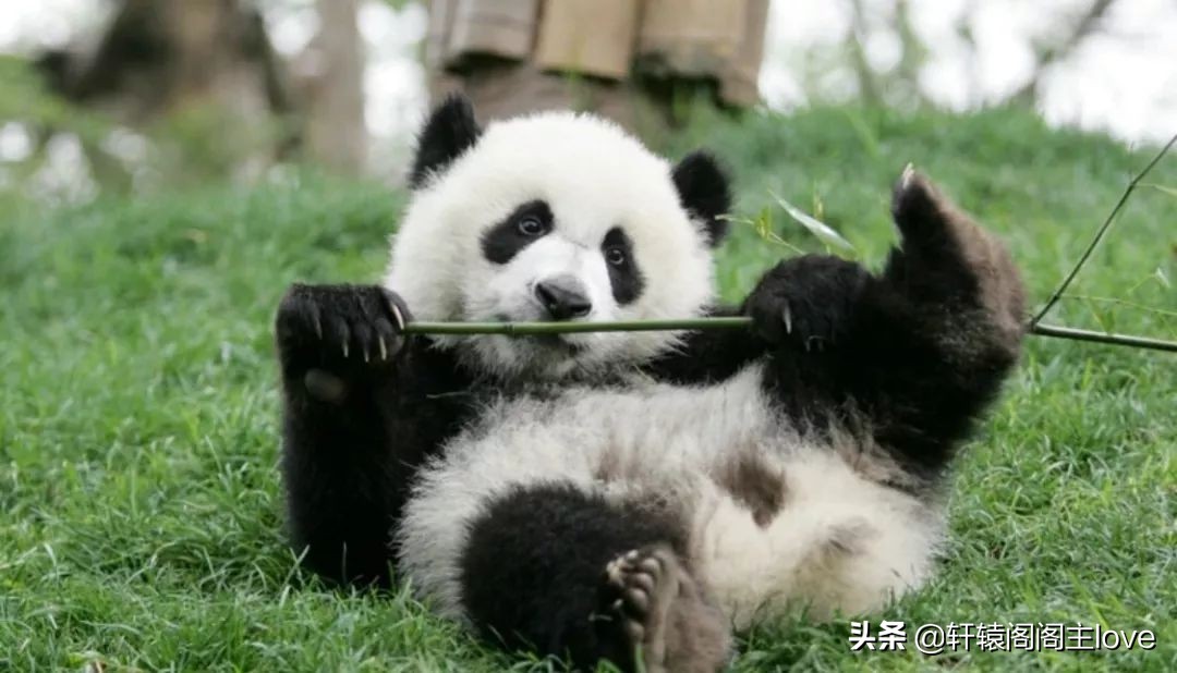 旅行回来想分手了,出去玩一趟回来分手