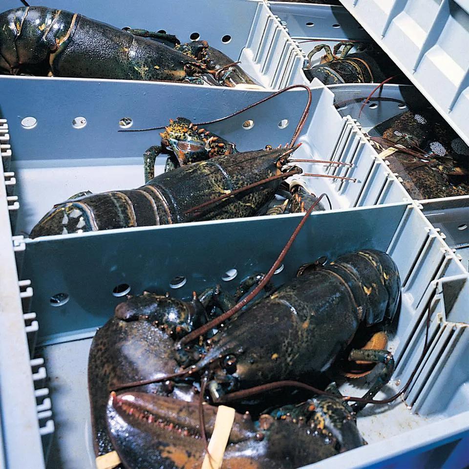 缇庡浗娉㈠＋椤垮埌缃楀垏鏂壒,浠庢尝澹】鍒板姞鎷垮ぇ