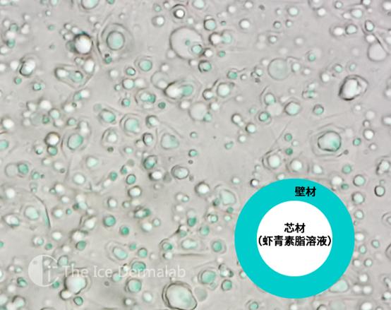 虾青素抗氧化第一名,虾青素地表最强抗氧化剂