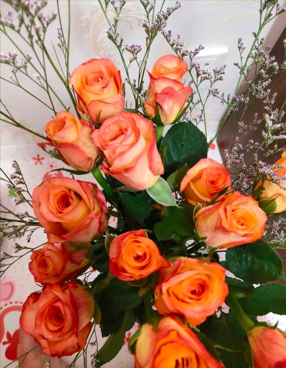 一切强求不来顺其自然,自己的心灵顺其自然不可强求