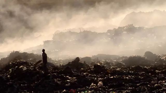 BBC最棒8部纪录片，强烈推荐孩子暑假看