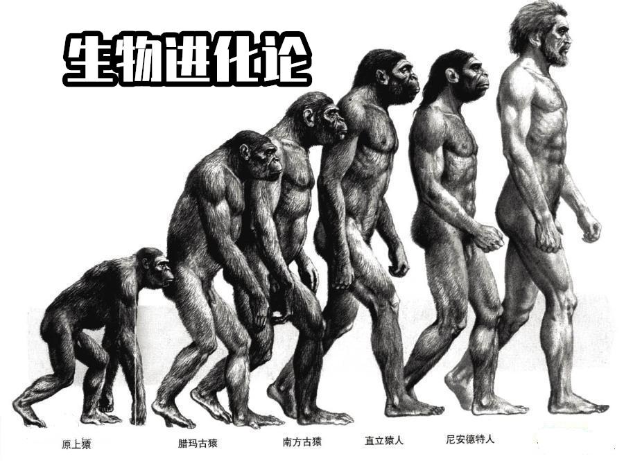 我的世界中村民到底有什么阴谋,我的世界村民背后的诡异事件