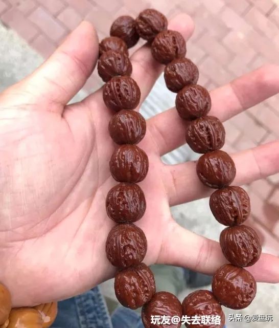 放了2年的凤眼,翻出来,虫子能组一个篮球队了