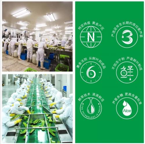 芭芭多企业愿景,芭芭多芦荟美容有哪些项目